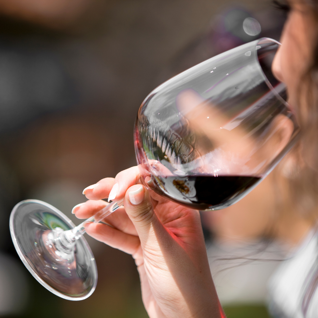 La Cava Wine Store Gallery 2